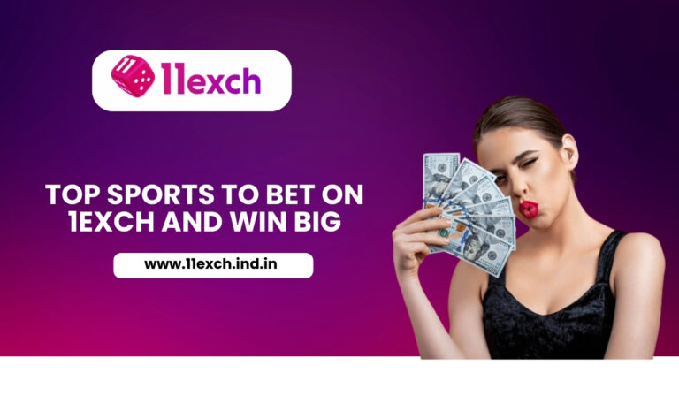 11 Exch Bet vs Parimatch Bet� Complete Comparison Guide 2026, 11 exchange, 11 exchange signup